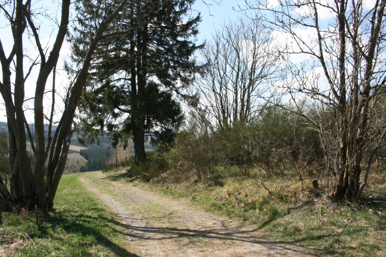 Ferienhaus Zur Ennest Schmallenberg Exterior foto